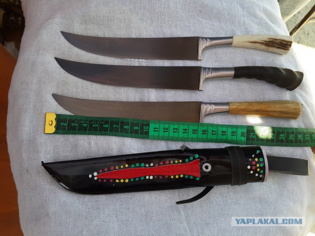Продам Пчаки