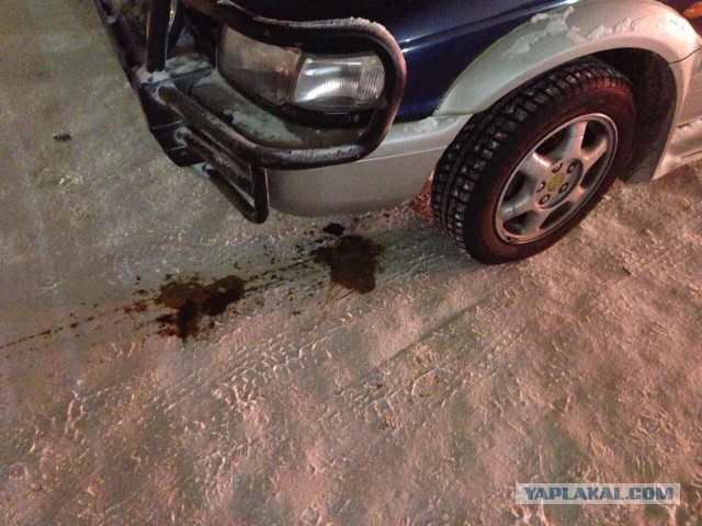 В Сургуте -51, но мы не унываем.
