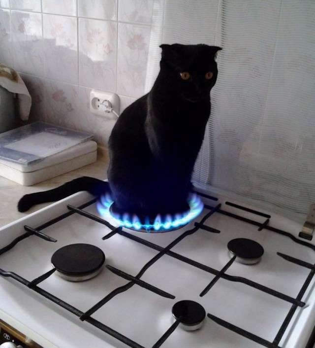 Фотки всякие разные...