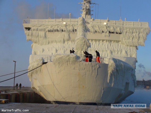 Как мороз превращает автомобили в предметы искусства