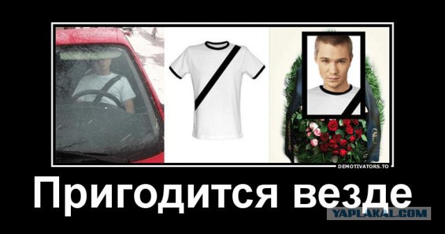 Камеры на каждом километре — наше светлое автобудущее