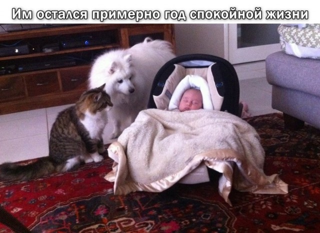 Четверг, это маленькая пятница! Картинки с подписями.