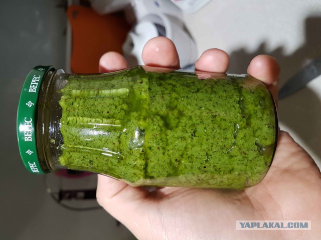 Песто, соус на основе