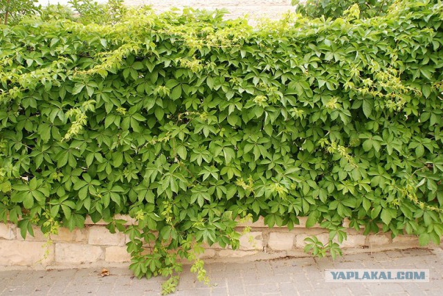 Готовьтесь затянуть пояса: цены на продукты стартовали вверх.