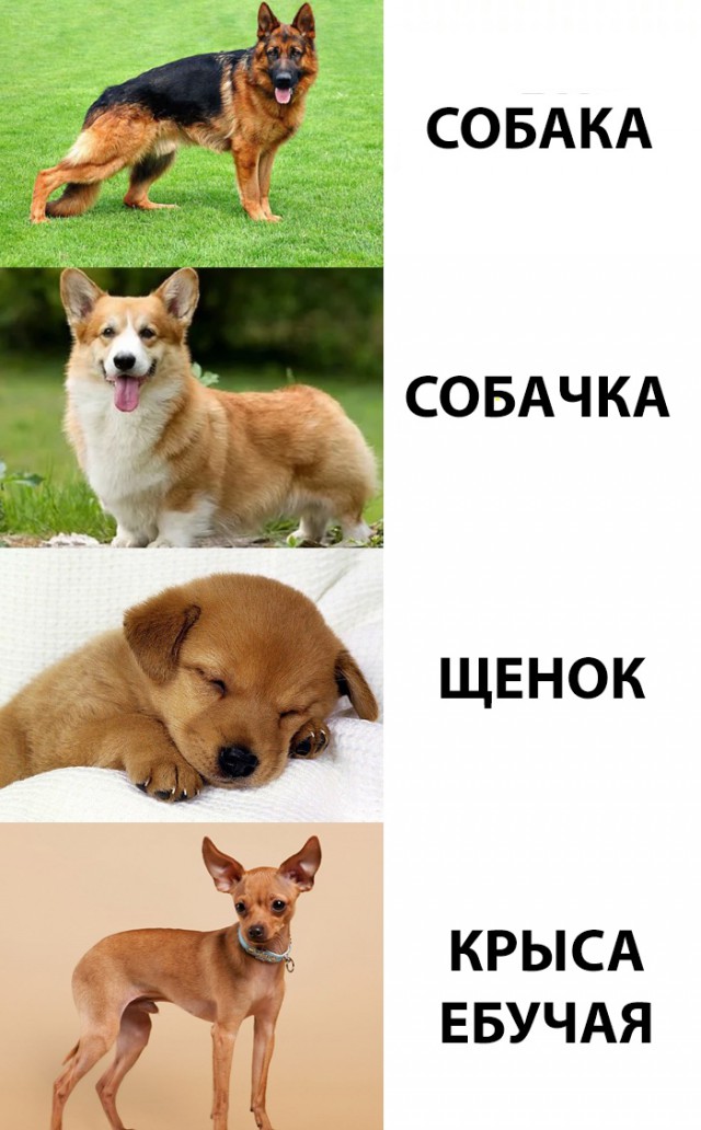 Нестандартный юмор