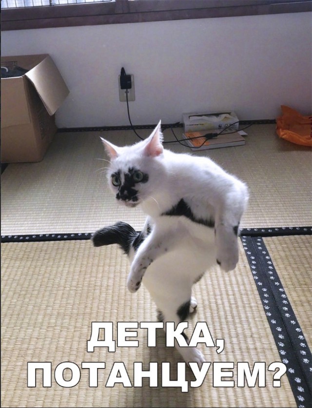 Нестандартный юмор