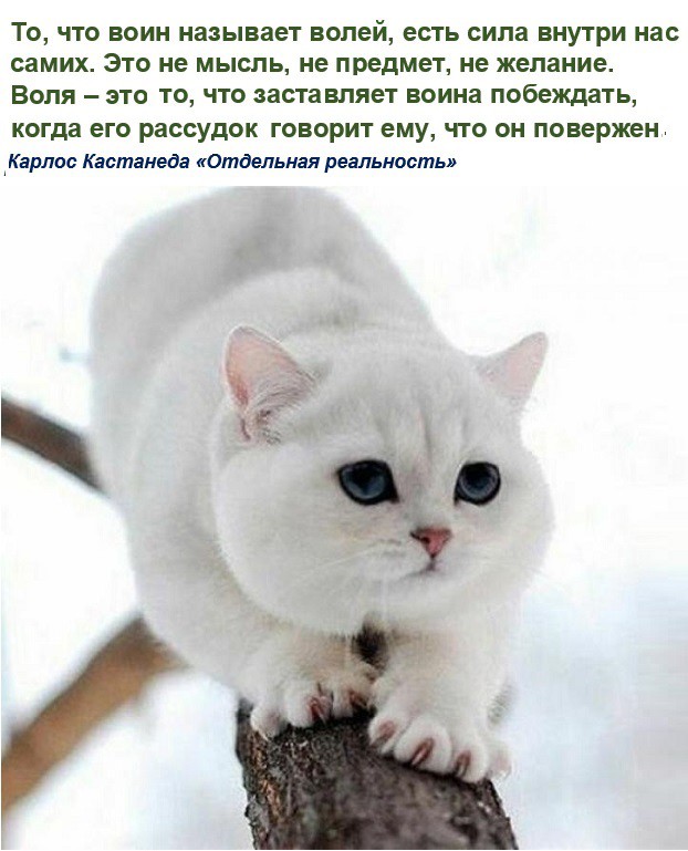 Анекдоты, истории и картинки с надписями