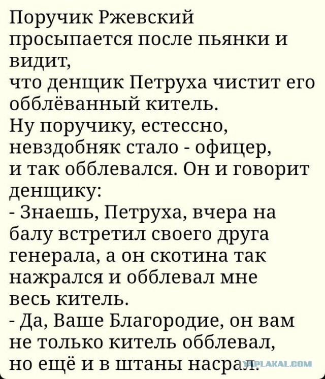 Всех цыган из Чемодановки принудительно отправили в Волгоградскую область