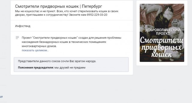 Помогите вернуть кота! Приют "Преданное сердце" украл кота и не отдает!