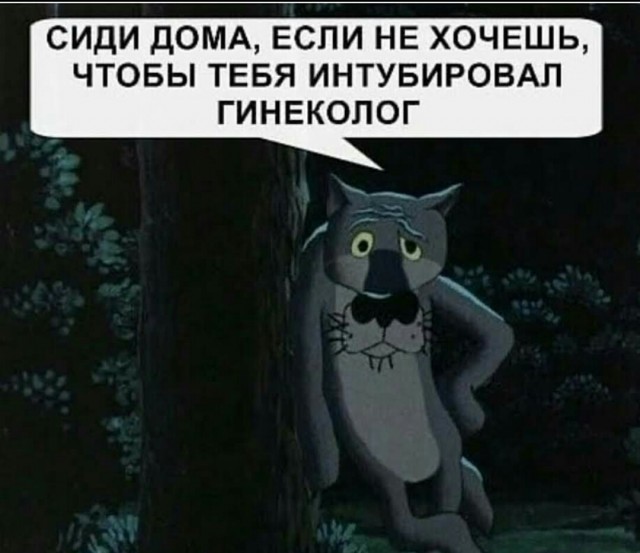 К чему готовиться, если отправят в больничку