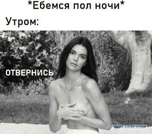 Немного картинок для настроения 05.11.20