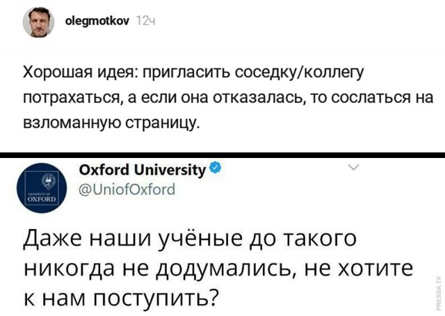 Бредзона 12.11.2020