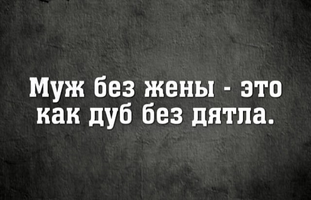 Юмор и прикольные картинки