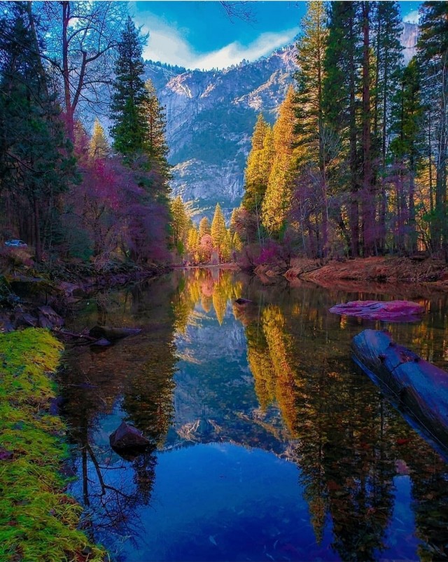 Красота фотографии