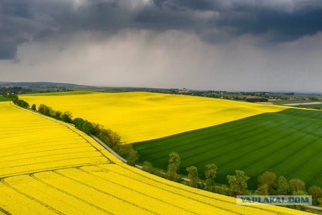 Красота фотографии