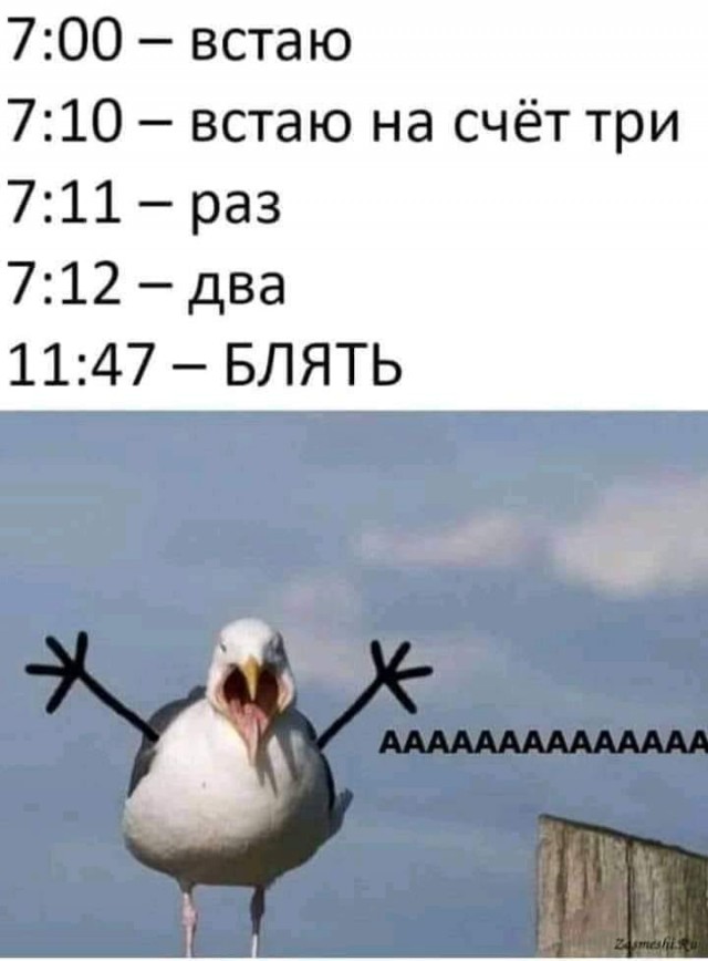 Картинки с надписями и всякие жизненные фразы 14.1.21