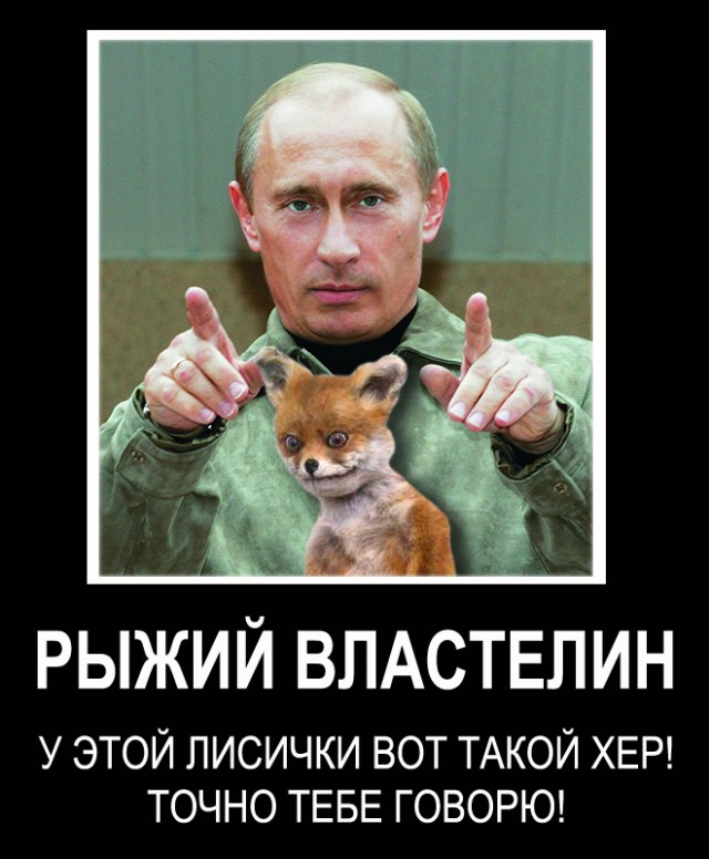 Таксидермия + наркомания