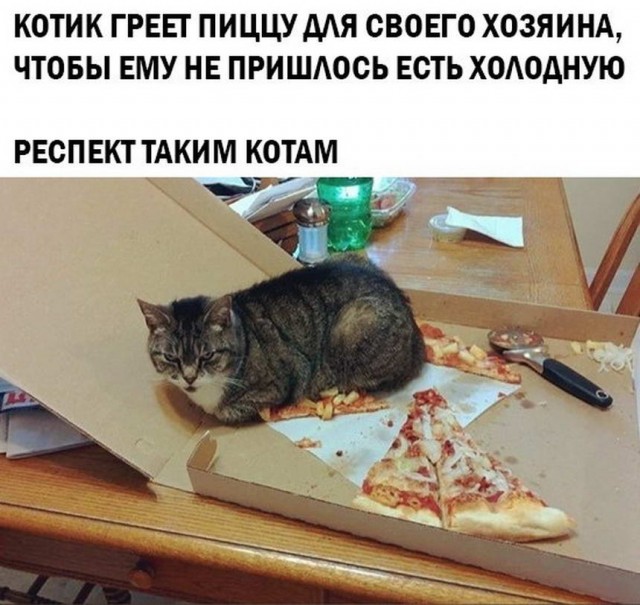 Картинки и мемы для настроения 017