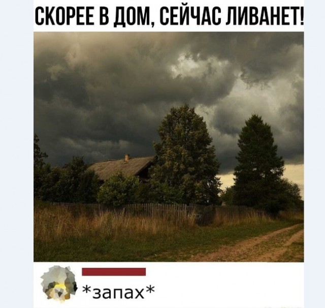 Картинки и мемы для настроения 018