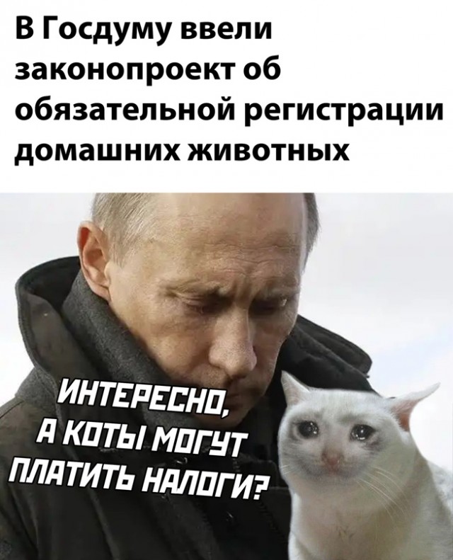 Весёлый полтишок 31.03