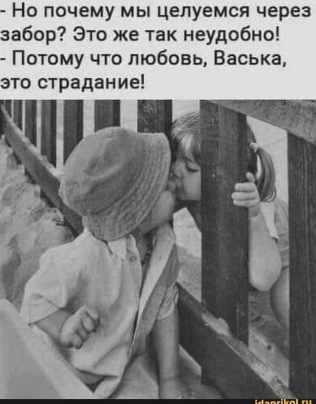 Жизнь трезвого холостяка