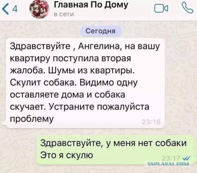 Бредзона 08.06.21