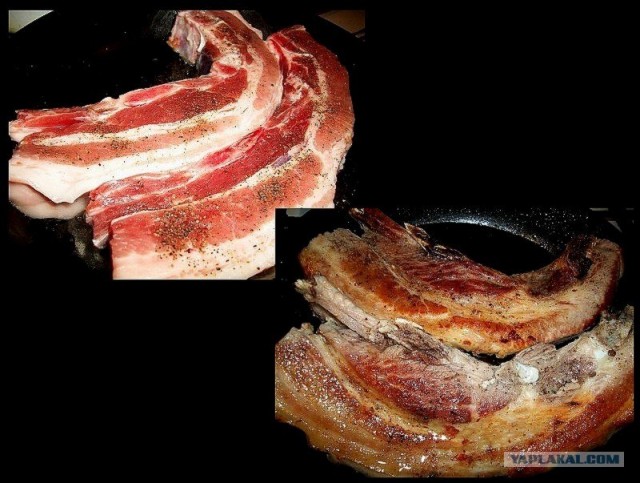 International одной книги., В память о Дженибеке.