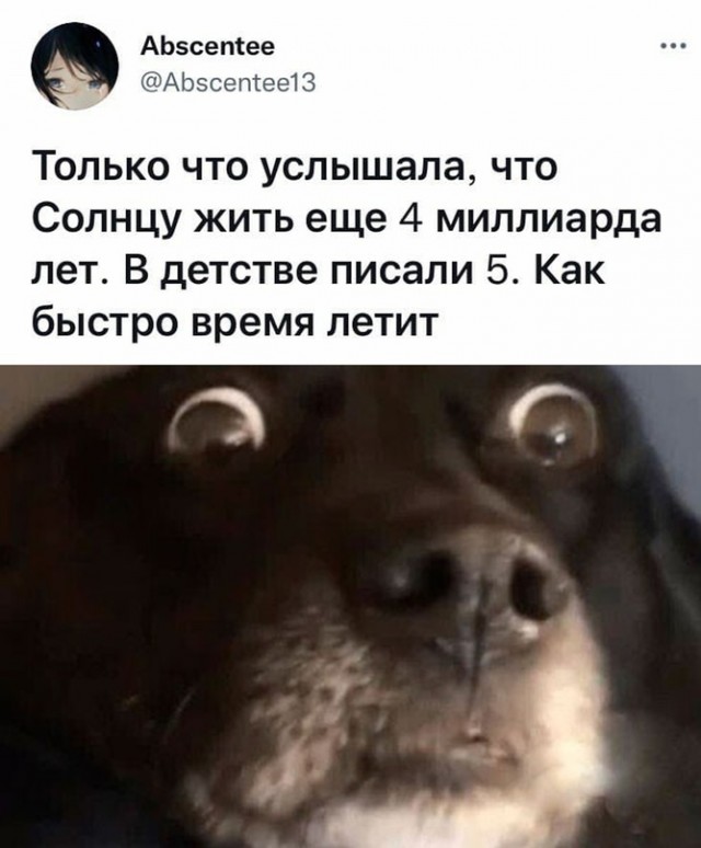 Картинки и мемы для настроения 26.10.2021