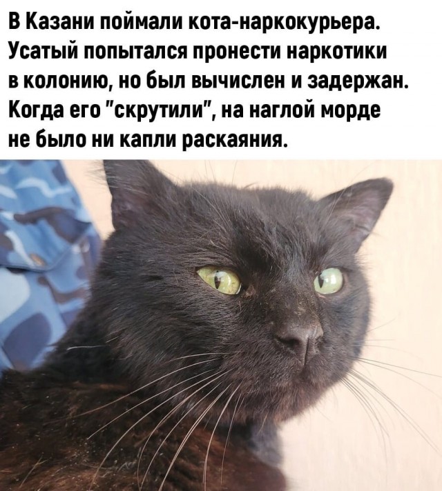 Так себе картинки 07.04.22