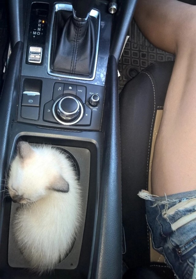 Тютелька в тютельку