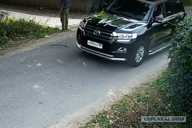 Подонок!