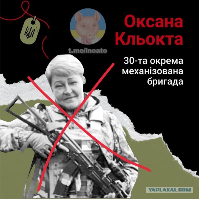 ВСУ объявили о начале наступления на южном фронте