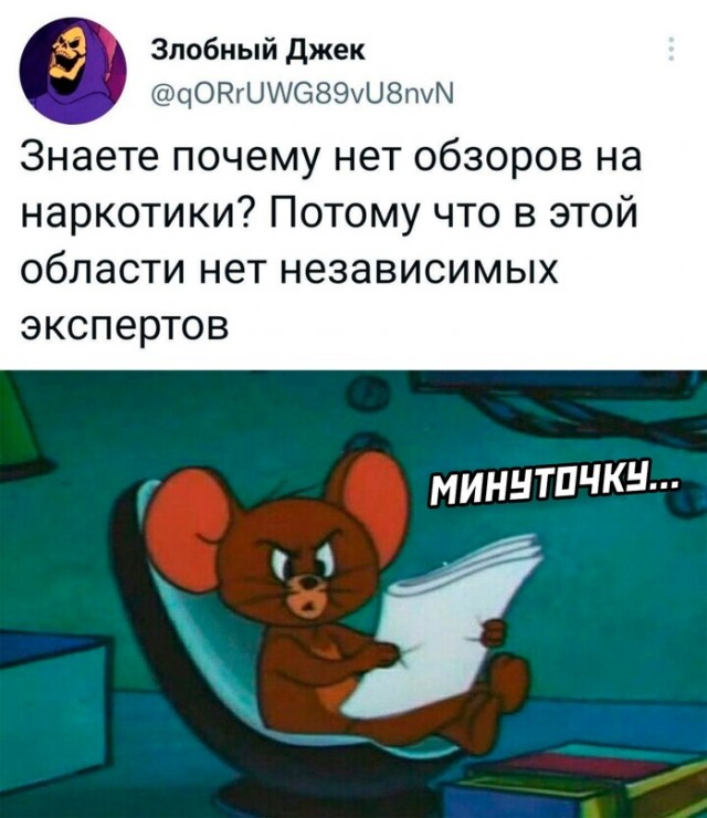 Весёлый полтишок 30.08.22
