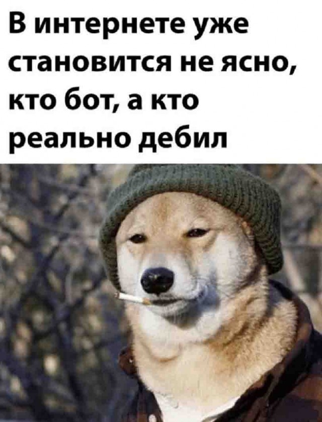 Иноагент Невзоров призвал Киев размещать российских пленных на энергетических объектах