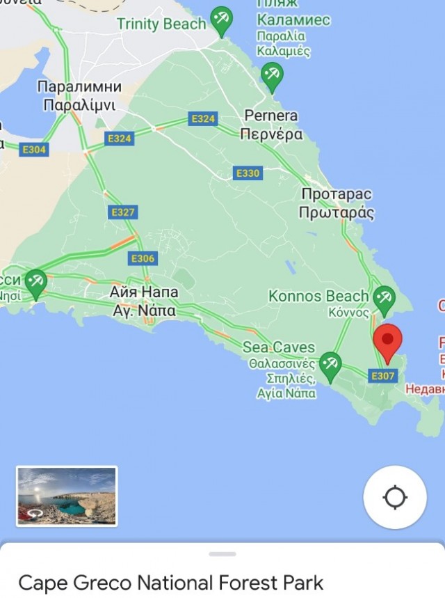 Вид картошки, грация кошки