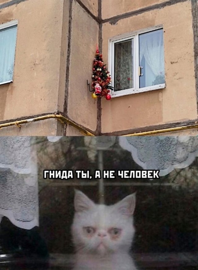 Так себе картинки 31.12.22