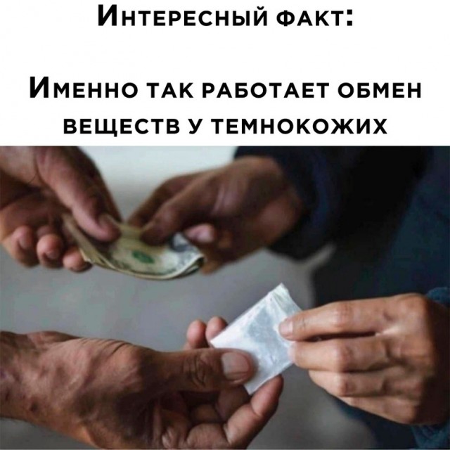 Картинки разные нужны, картинки разные важны!