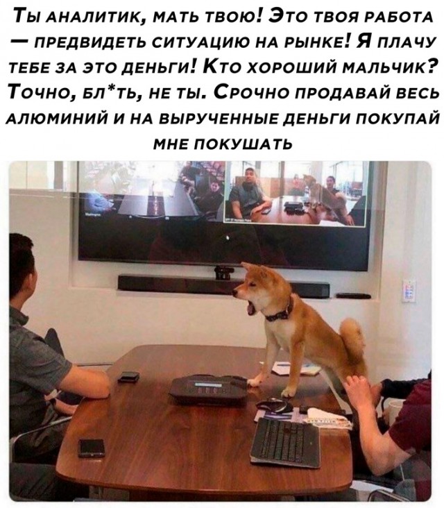 Весёлый полтишок 17.01.23