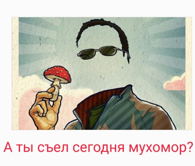 Волшебный мир грибов