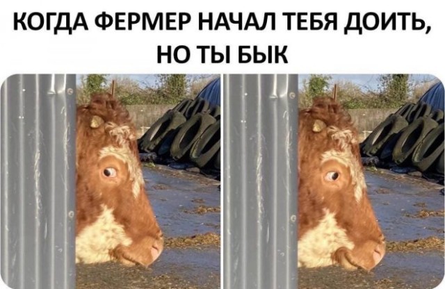 Юмор в картинках и без 14.03