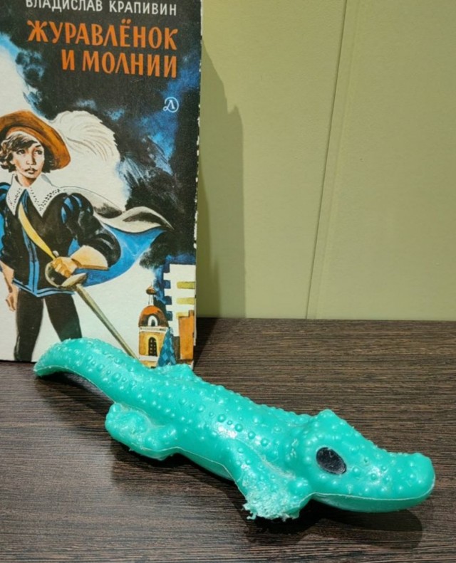 Нашёл на даче оружие