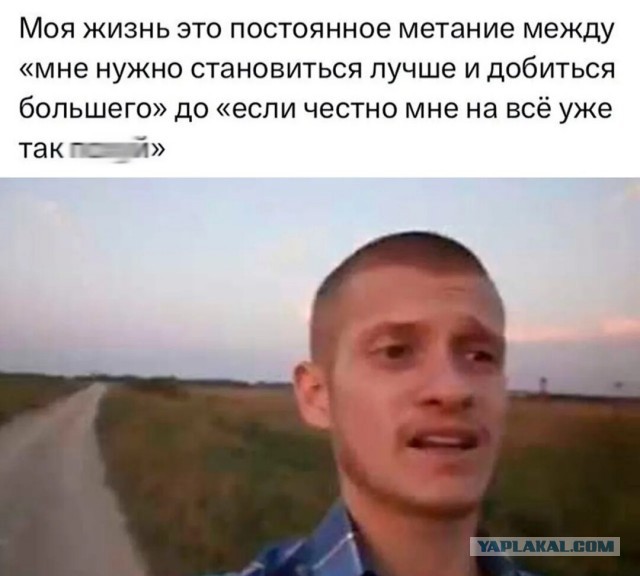 Прикольные и просто красивые картинки 11.07.2023
