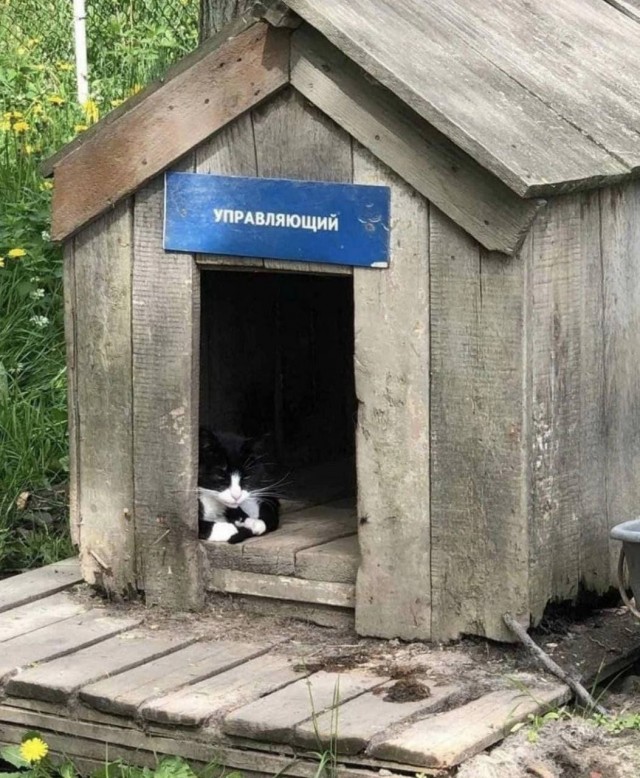 Весёлый полтишок 20.09.23