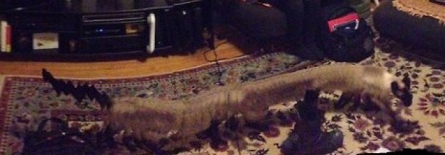 Панорамная фотография