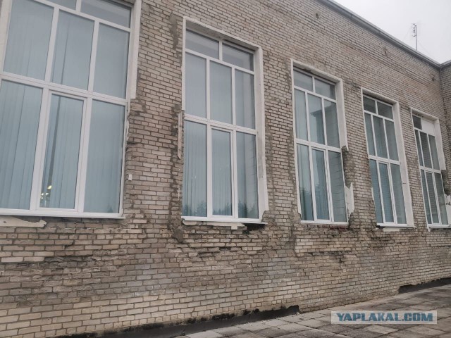 Слишком дорогие дети