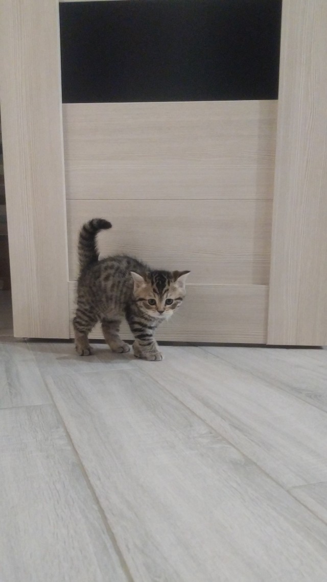 Здравствуйте, доброе утро