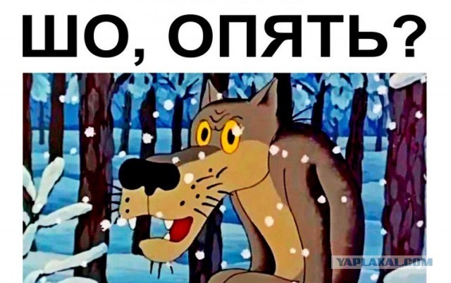Официально: S.T.A.L.K.E.R. 2 выйдет 5 сентября — разработчики обещают больше не откладывать игру
