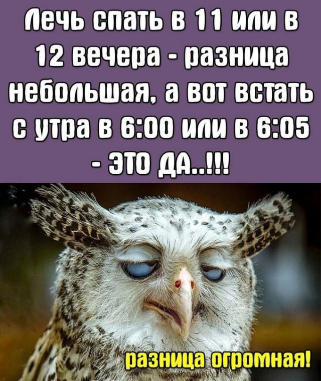 Тлидцать тли от 8 февраля