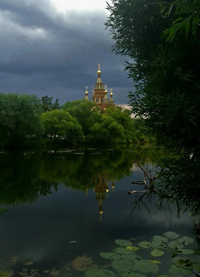 ФотоВинегрет