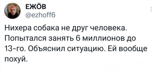 Нуштош 12.09.2024
